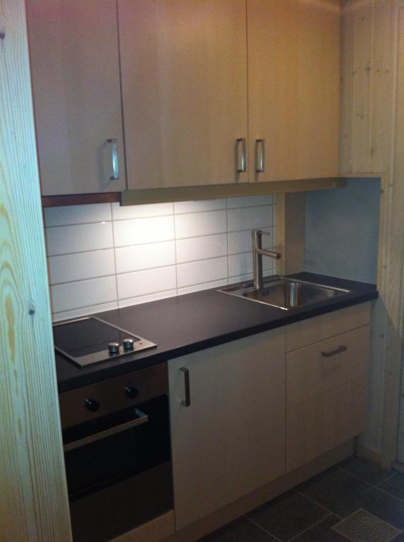 Totakbu Apartment Rauland Cameră foto